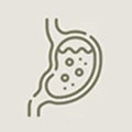 Eases Bloating andGas*